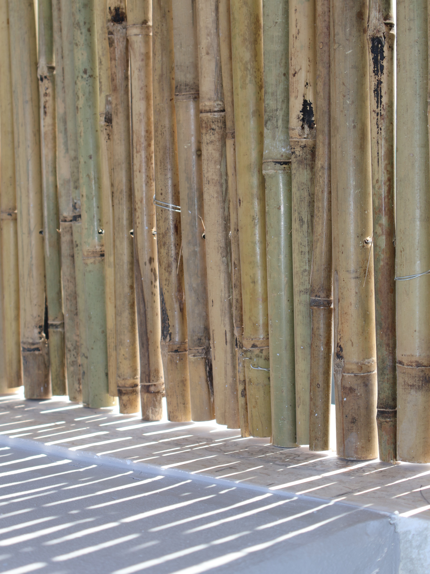 Natural bamboo texture detail